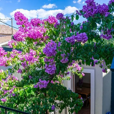 Holiday home Stone House Marino