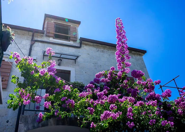 Stone House Marino بيت للعطل
